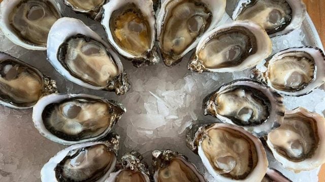 hama-hama-oysters-wa