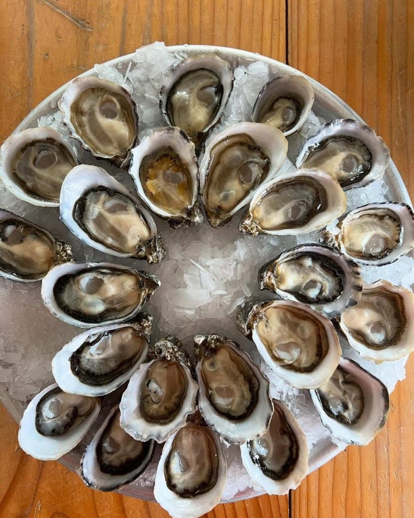 hama-hama-oysters-wa