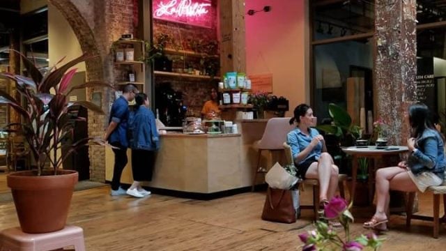 vibe-indoor-la-perlita